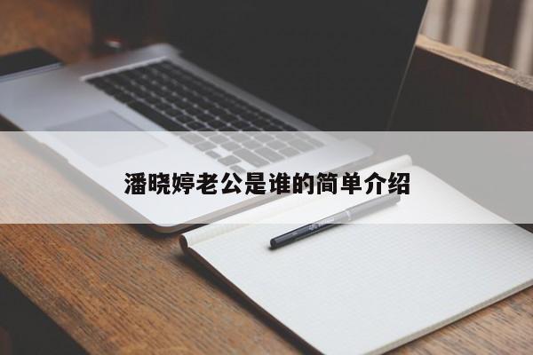 潘晓婷老公是谁的简单介绍